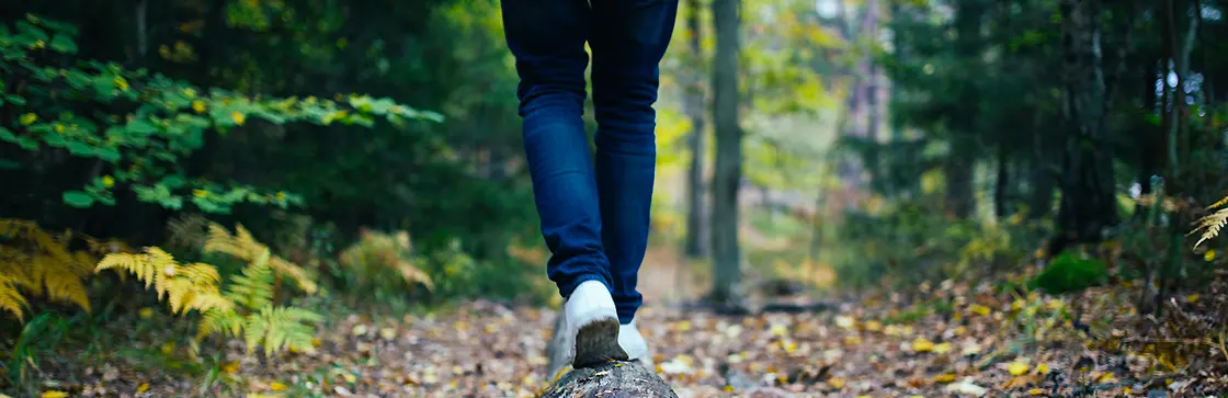 Bass Lake Trail near Ely MN